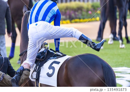 競馬場の風景 パドック 京都府京都市 競馬場の風景 パドック 京都府京都市 135491873