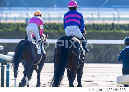 競馬場の風景　本馬場入場する馬　京都府京都市 135491895