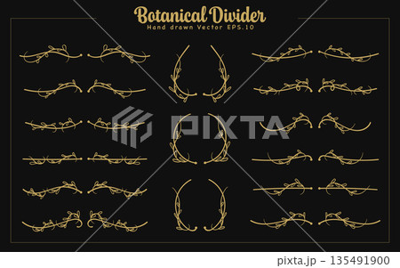 Decorative Gold Botanical Divider Border Hand Drawn Bundle 135491900