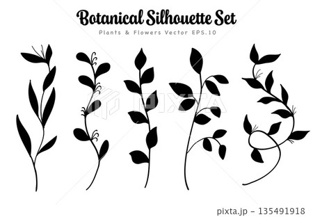Silhouette Botanical Leaves Set Hand Drawn Botanical Collection. Silhouette Botanical Leaves Set Hand Drawn Botanical Collection. 135491918