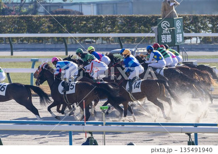 競馬場の風景　直線を走る馬　京都府京都市 135491940