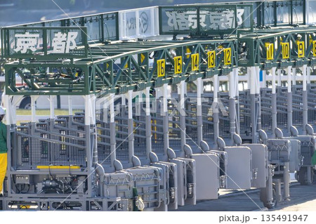 競馬場の風景　ゲート　京都府京都市 135491947