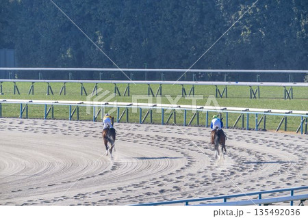 競馬場の風景　馬場入り後の馬　京都府京都市 135492036