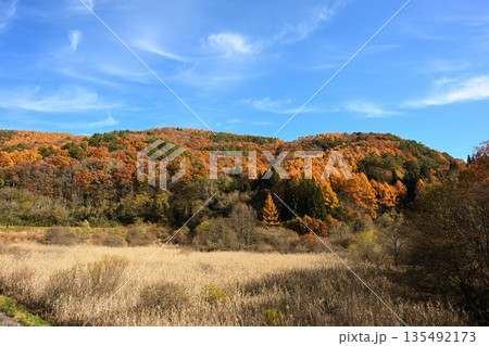 秋の山並みと草地が広がる紅葉風景(長野県長野市) 秋の山並みと草地が広がる紅葉風景(長野県長野市) 135492173