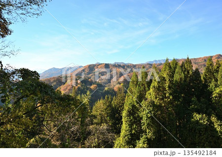 秋の山並みと草地が広がる紅葉風景（長野県長野市） 135492184