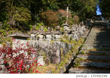 石塔寺 石塔寺 135492298