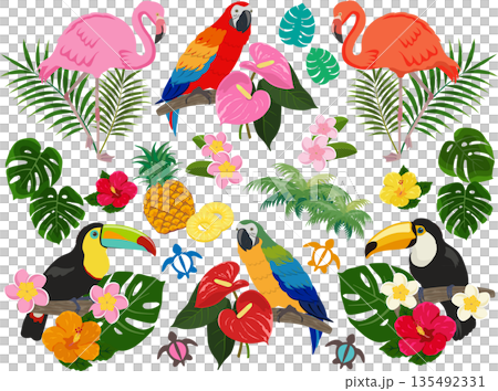 トロピカルセット 135492331