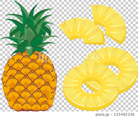 Pineapple and cut pineapple set 135492336