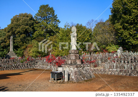 石塔寺 135492337