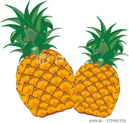 2つのパイナップル 135492338