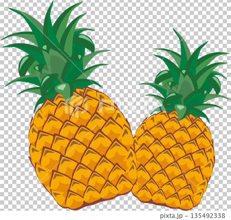 2つのパイナップル 135492338