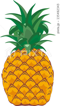 パイナップル 135492343