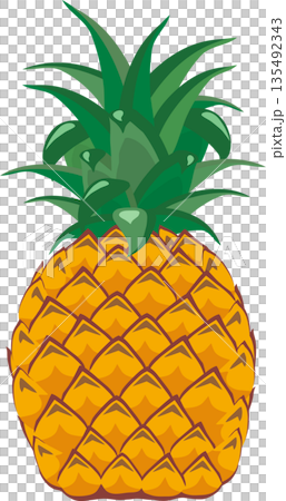 パイナップル 135492343