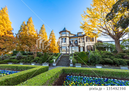 横浜 山手 外交官の家と秋のイタリア山庭園 黄金色のイチョウと青空 横浜 山手 外交官の家と秋のイタリア山庭園 黄金色のイチョウと青空 135492398
