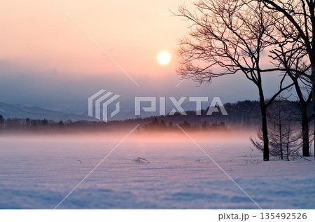 氷点下の夜明けと木々と雪原の朝靄の美しい風景 135492526