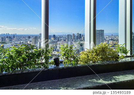 東京都港区 高輪ゲートウェイシティ ニュウマン高輪 28階 展望スペース 翠の庭 (みどりのにわ) 東京都港区 高輪ゲートウェイシティ ニュウマン高輪 28階 展望スペース 翠の庭 (みどりのにわ) 135493189