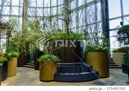 東京都港区　高輪ゲートウェイシティ 　ニュウマン高輪　28階　展望スペース　翠の庭　（みどりのにわ） 135493191