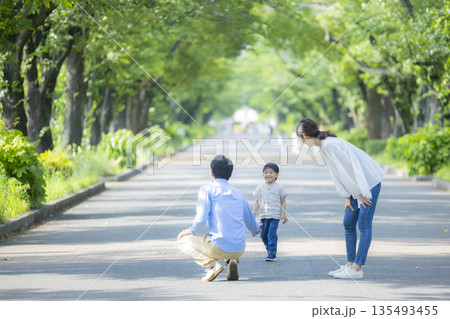 新緑の公園を歩く家族   　  135493455