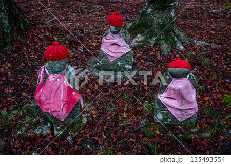 紅葉に包まれた大寧寺　釈迦三尊と十六羅漢　山口県長門市 135493554