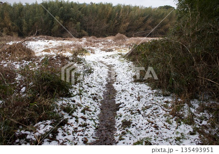 農道 農道 135493951