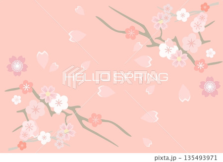 background with cherry flowers 135493971