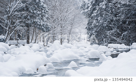 夕森渓谷（冬） 135494042