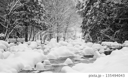 夕森渓谷（冬） 135494043