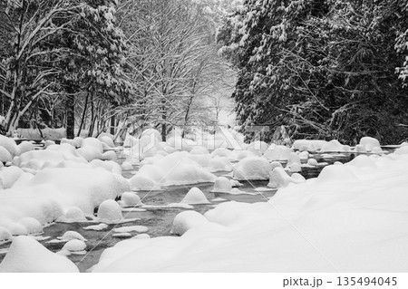 夕森渓谷（冬） 135494045