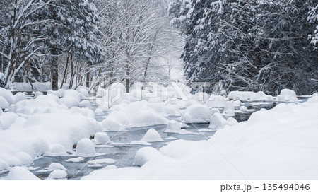 夕森渓谷（冬） 135494046