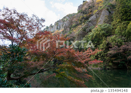 紅葉の岩壁がそそり立つ立久恵峡 島根県出雲市 紅葉の岩壁がそそり立つ立久恵峡 島根県出雲市 135494148
