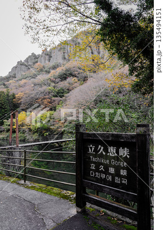 紅葉の岩壁がそそり立つ立久恵峡 島根県出雲市 紅葉の岩壁がそそり立つ立久恵峡 島根県出雲市 135494151