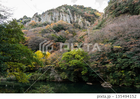 紅葉の岩壁がそそり立つ立久恵峡 島根県出雲市 紅葉の岩壁がそそり立つ立久恵峡 島根県出雲市 135494152