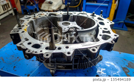 Automotive Engine Cylinder Block 135494189