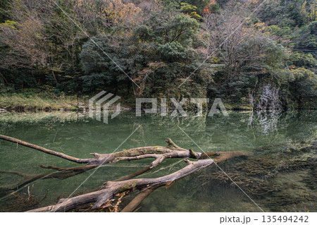 紅葉の岩壁がそそり立つ立久恵峡 島根県出雲市 紅葉の岩壁がそそり立つ立久恵峡 島根県出雲市 135494242