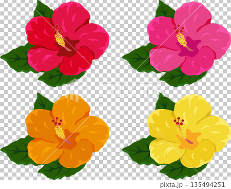 芙蓉花套裝 135494251