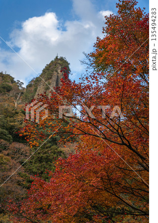 紅葉の岩壁がそそり立つ立久恵峡　島根県出雲市 135494283