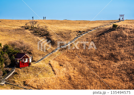 大室山登山リフト 山頂からの浅間神社【静岡県伊東市】 135494575