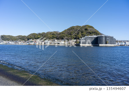冬の神奈川県横須賀市浦賀　西浦賀からの風景 135494607