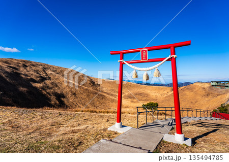 大室山登山リフト 山頂からの浅間神社と富士山【静岡県伊東市】 135494785