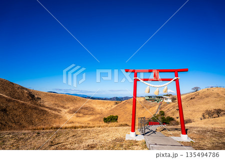 大室山登山リフト 山頂からの浅間神社と富士山【静岡県伊東市】 135494786