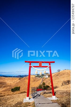 大室山登山リフト 山頂からの浅間神社と富士山【静岡県伊東市】 135494787