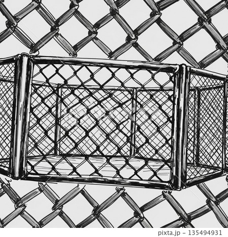 MMA総合格闘技のイラスト 135494931