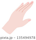 綺麗な手のイラスト 135494978