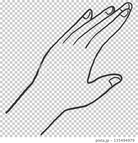 Beautiful hand illustration line drawing Beautiful hand illustration line drawing 135494979