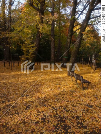 秋の武蔵関公園 135494991