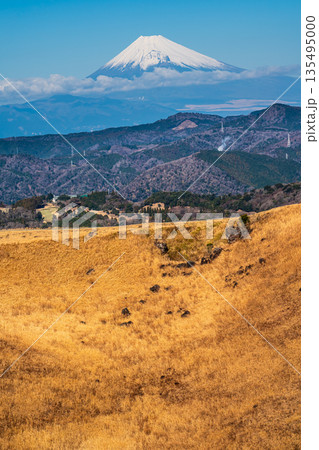 大室山登山リフト 山頂からの大室山と富士山【静岡県伊東市】 大室山登山リフト 山頂からの大室山と富士山【静岡県伊東市】 135495000