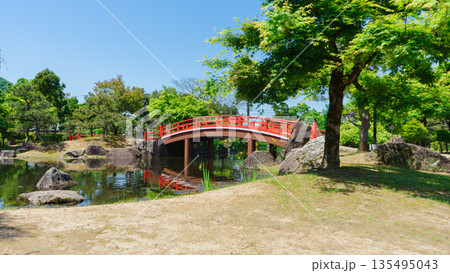 庭園の日本らしい太鼓橋(福井県越前市 紫式部公園) 庭園の日本らしい太鼓橋(福井県越前市 紫式部公園) 135495043