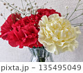 花瓶に生けたカーネーション 135495049