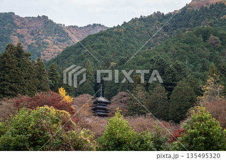 紅葉した楓に包まれた高源寺 兵庫県丹波市 紅葉した楓に包まれた高源寺 兵庫県丹波市 135495320