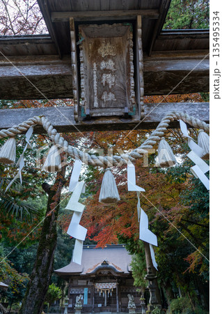 紅葉に包まれた佐地神社 兵庫県丹波市 紅葉に包まれた佐地神社 兵庫県丹波市 135495334